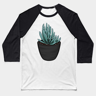 Blue Chalk Sticks Senecio Mandraliscae Succulent Sketch Baseball T-Shirt